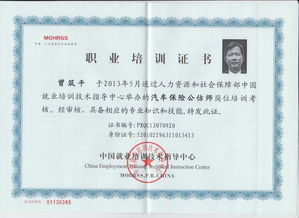 贵州国正二手车鉴定评估 人民法院诉讼中的专业角色与重要性